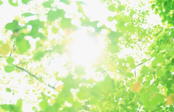 どこに行っても良くならない方へ朗報！たった1度の施術で驚きの効果！DrカイロプラクティックINOUE